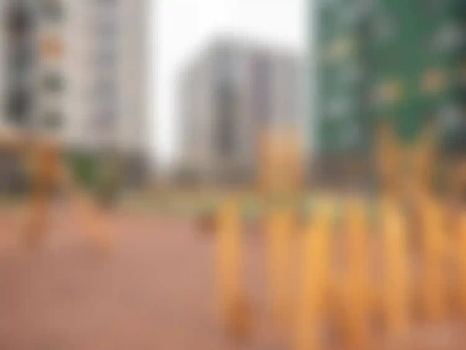 Изображение галереи