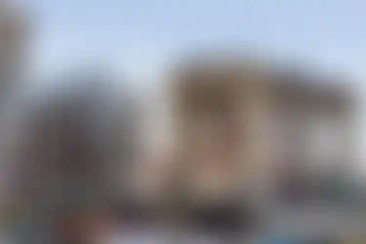 Изображение галереи