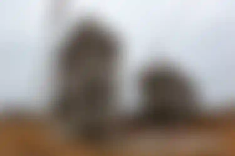 Изображение галереи