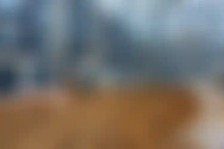 Изображение галереи