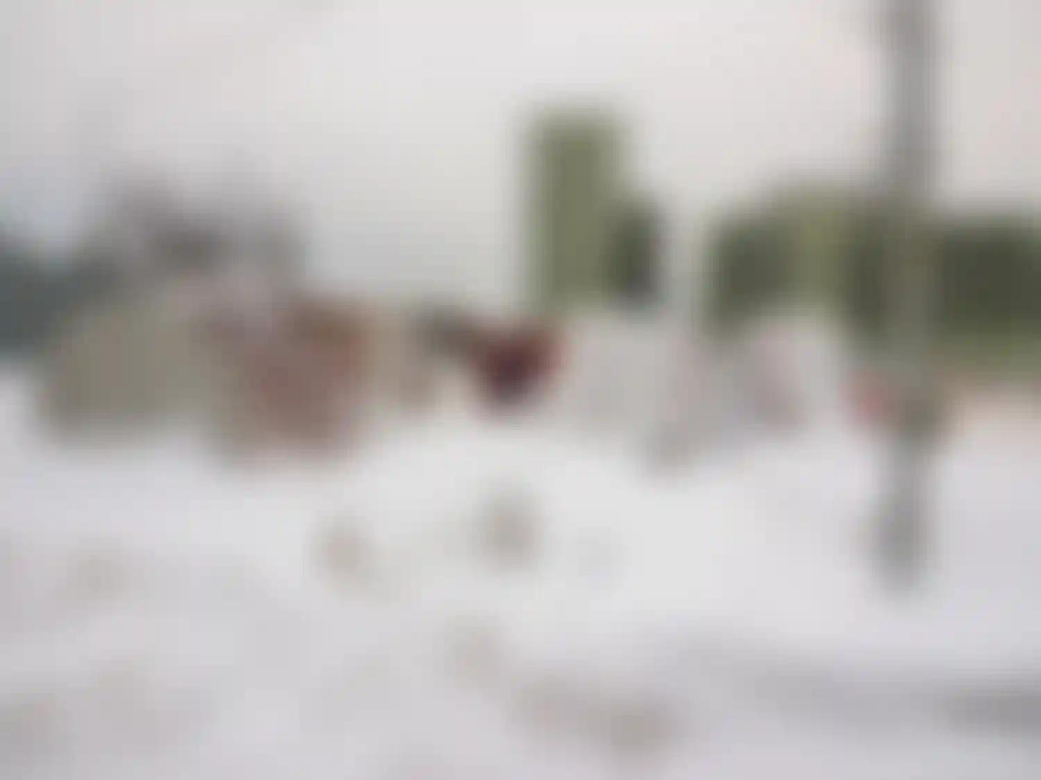 Изображение галереи