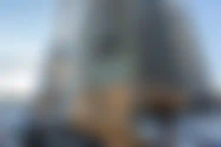 Изображение галереи