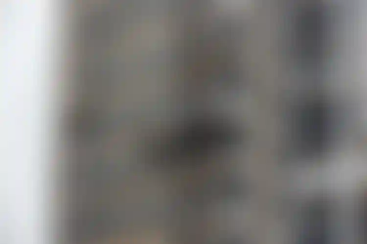 Изображение галереи