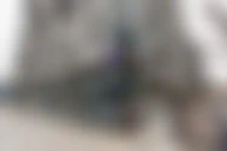 Изображение галереи