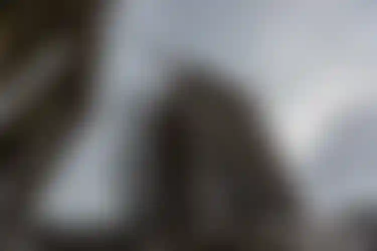 Изображение галереи