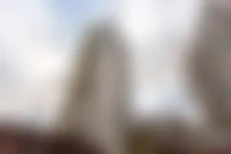 Изображение галереи