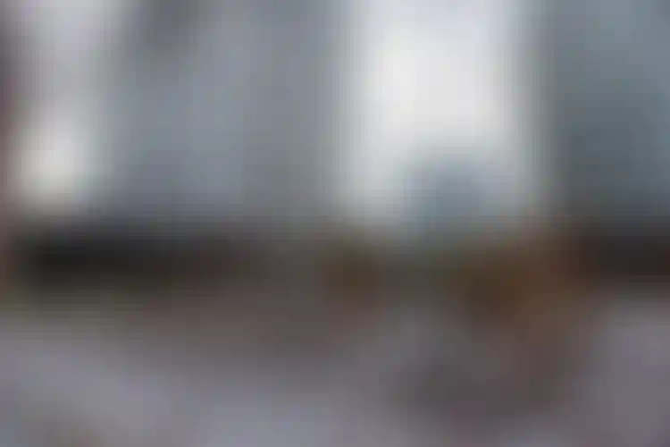 Изображение галереи