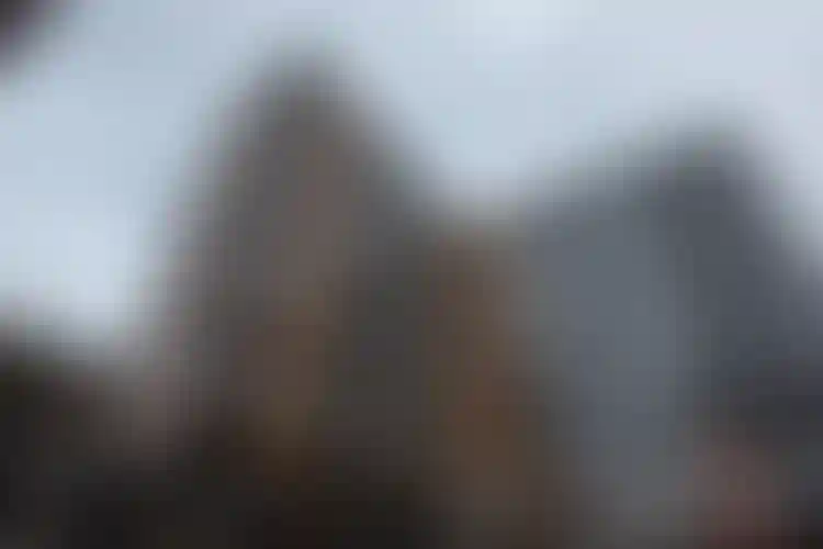 Изображение галереи