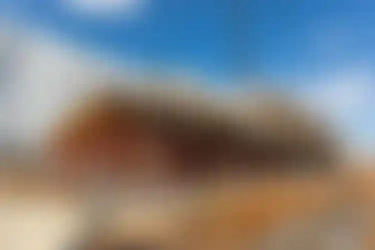 Изображение галереи