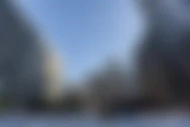 Изображение галереи