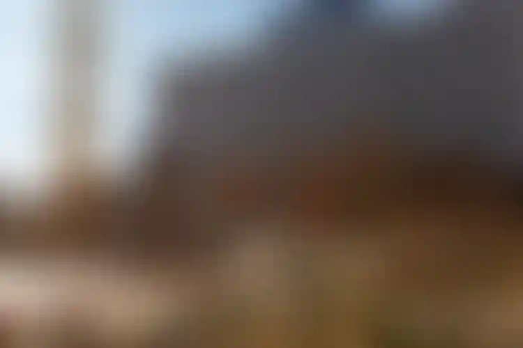 Изображение галереи