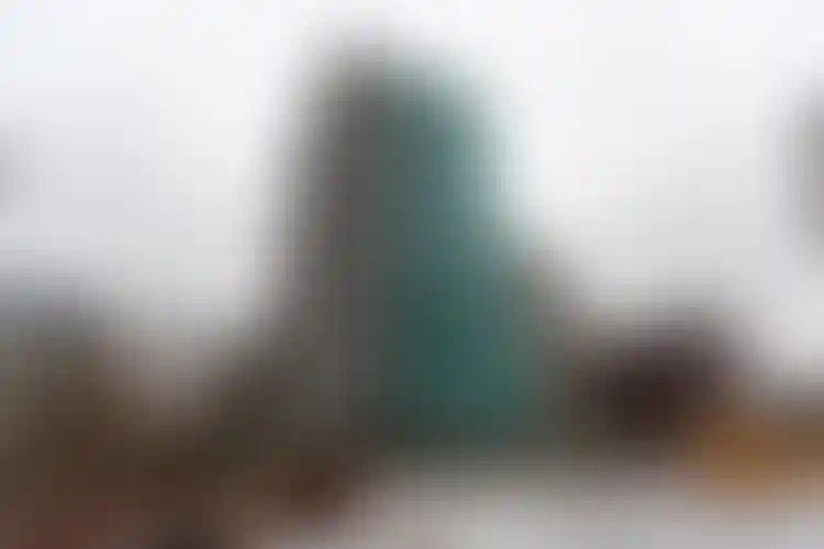 Изображение галереи