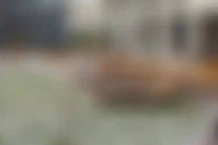 Изображение галереи