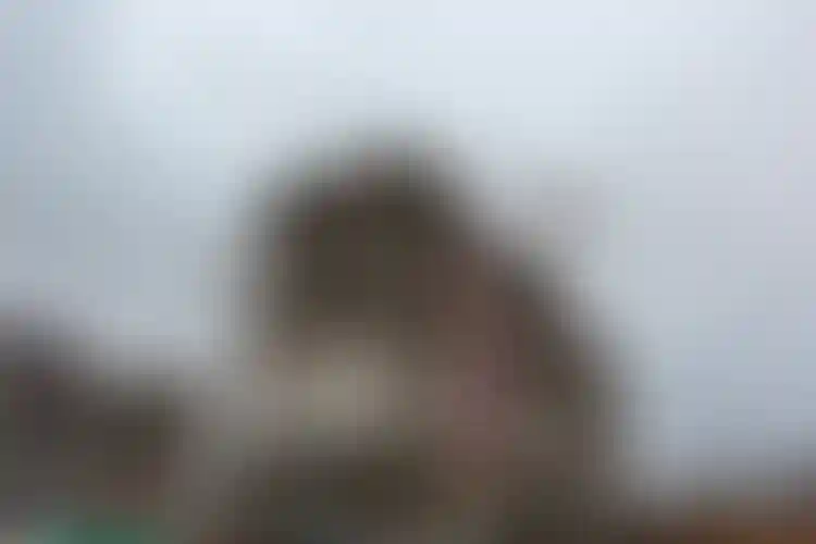 Изображение галереи