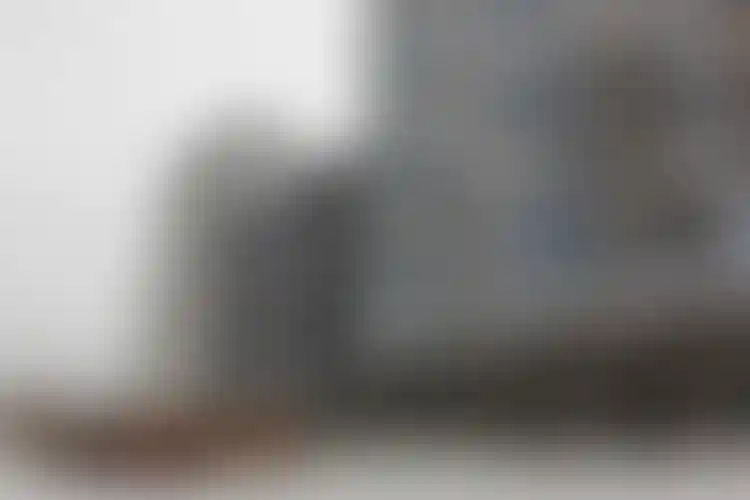 Изображение галереи