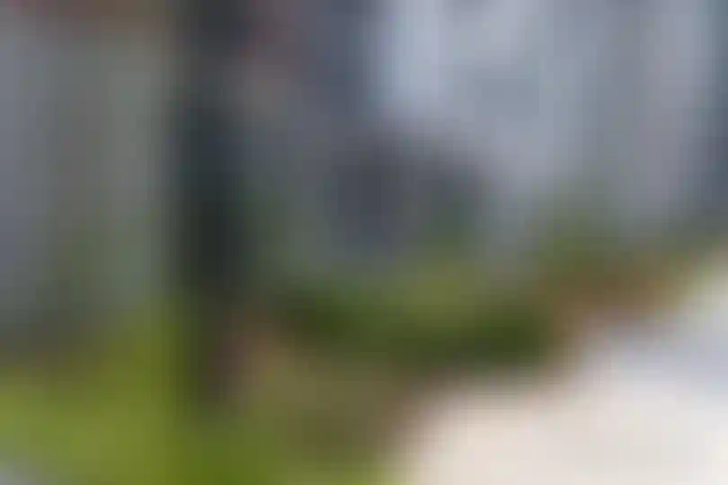 Изображение галереи