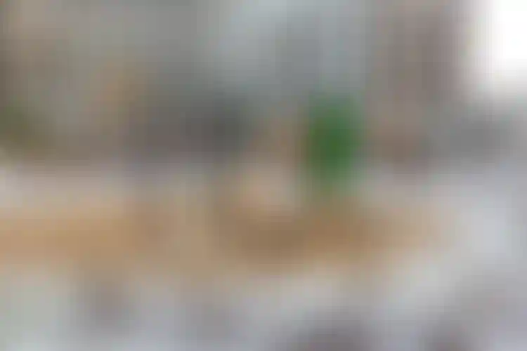 Изображение галереи