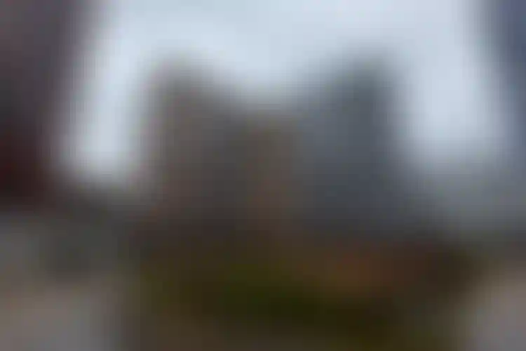 Изображение галереи