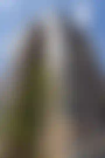 Изображение галереи