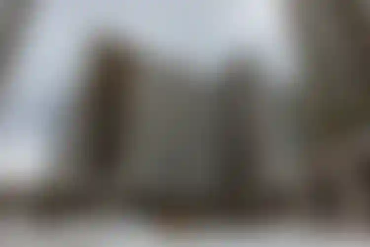 Изображение галереи