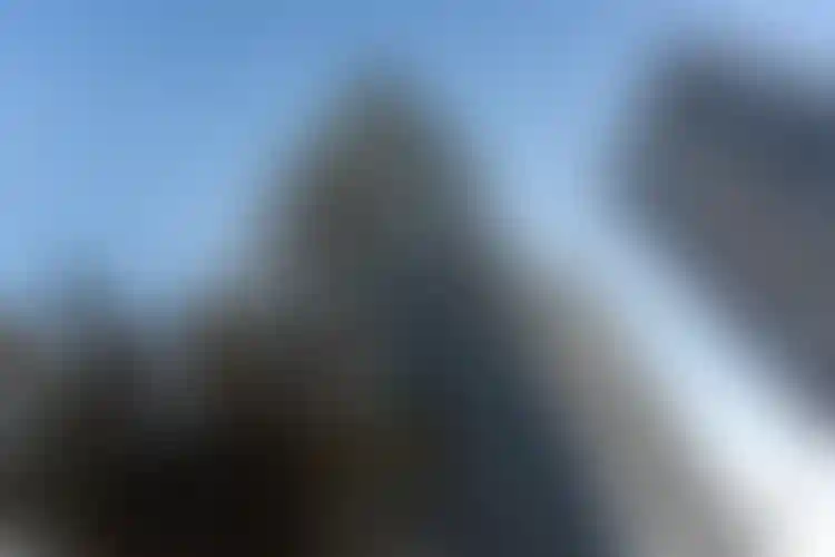 Изображение галереи