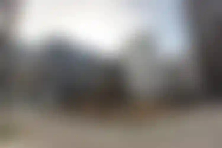 Изображение галереи