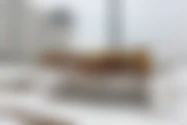 Изображение галереи