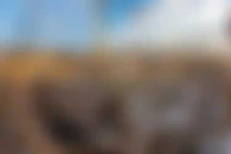 Изображение галереи