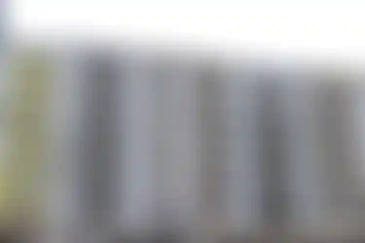 Изображение галереи