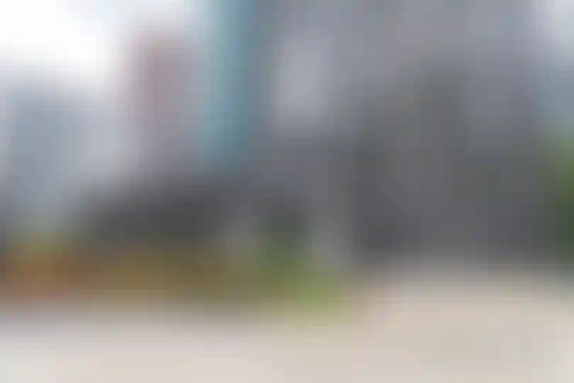 Изображение галереи