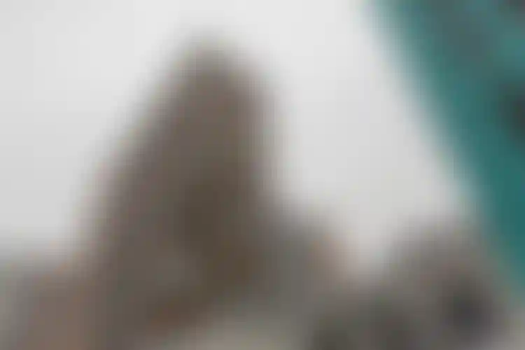 Изображение галереи