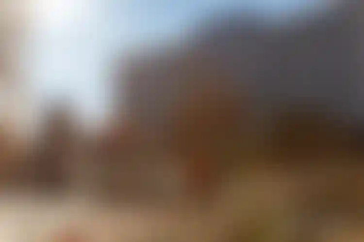 Изображение галереи