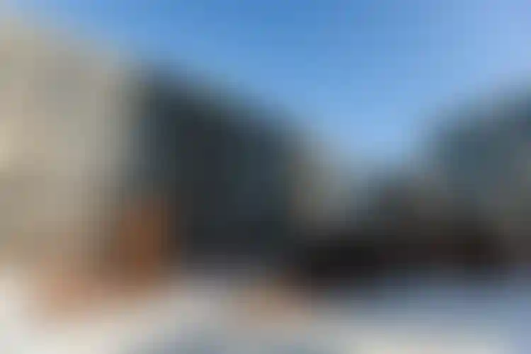 Изображение галереи