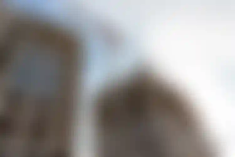 Изображение галереи