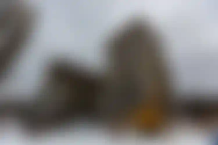 Изображение галереи