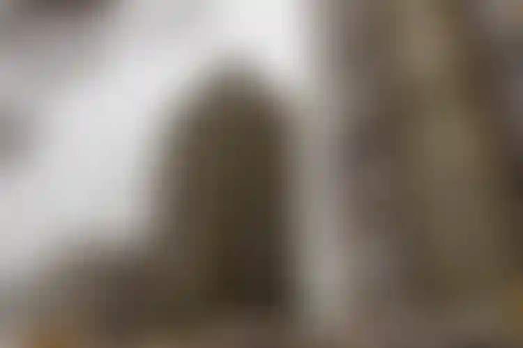 Изображение галереи