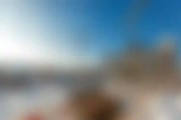 Изображение галереи