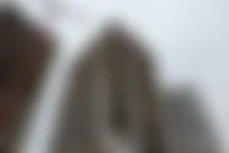 Изображение галереи