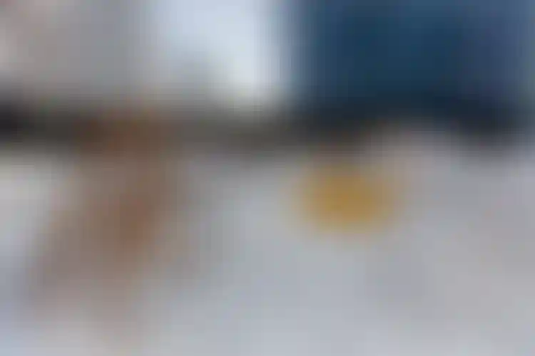 Изображение галереи