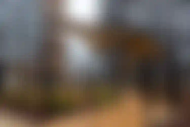 Изображение галереи