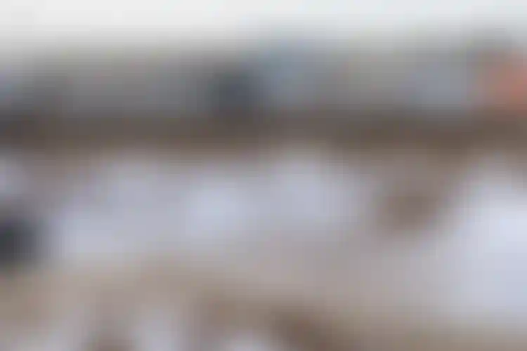 Изображение галереи