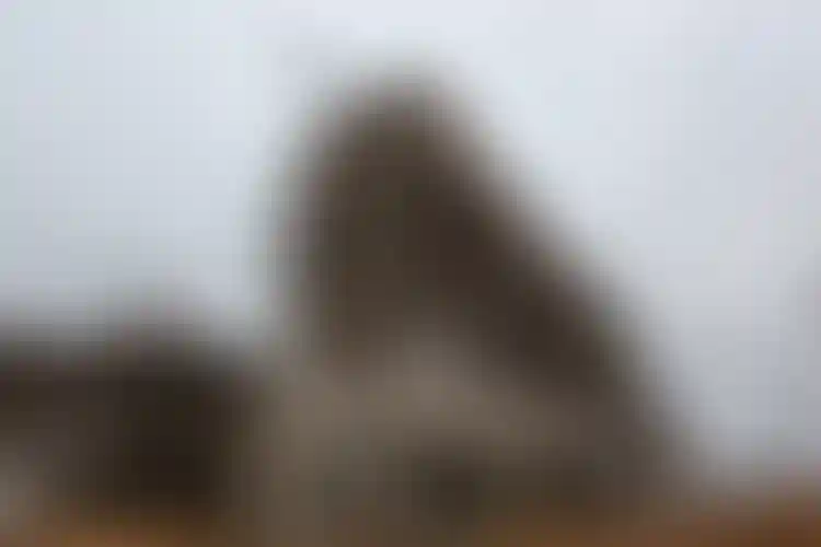 Изображение галереи