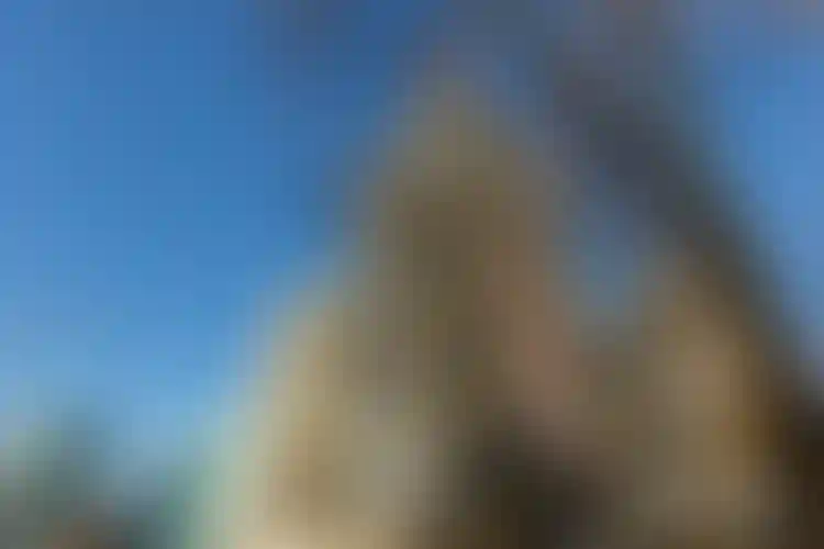 Изображение галереи