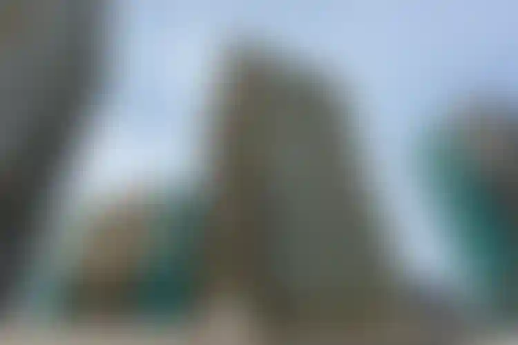 Изображение галереи