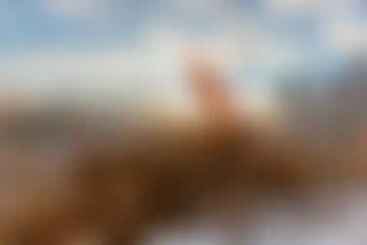 Изображение галереи