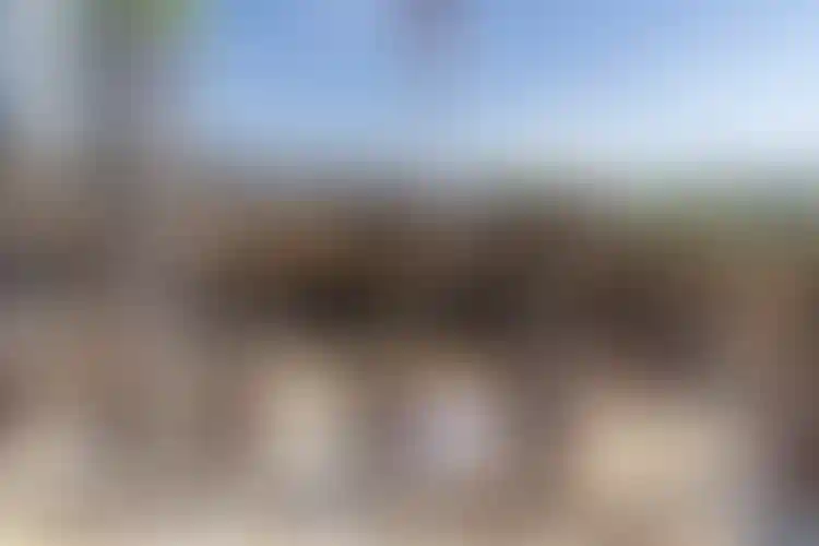 Изображение галереи