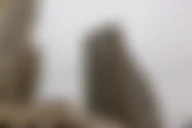 Изображение галереи