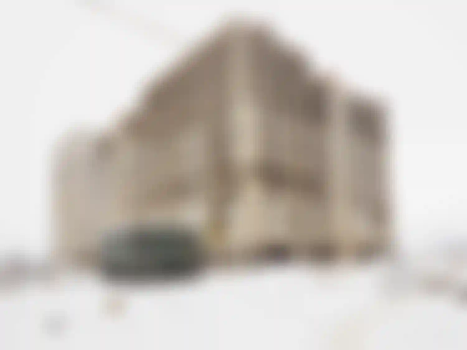 Изображение галереи