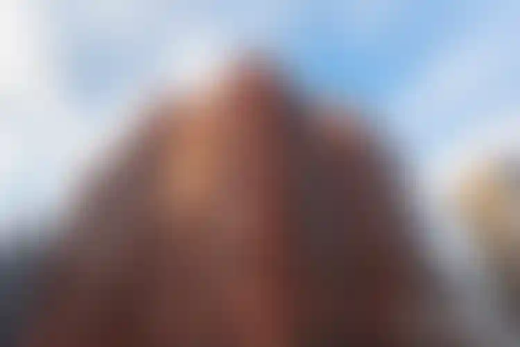 Изображение галереи