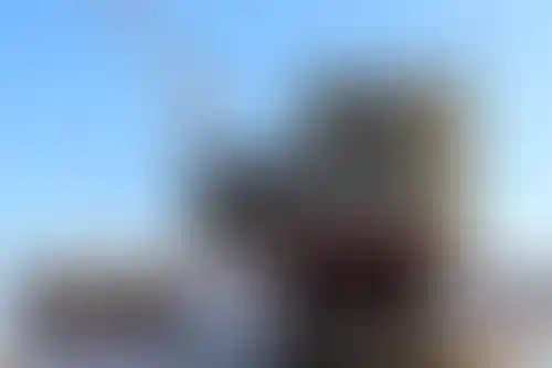 Изображение галереи